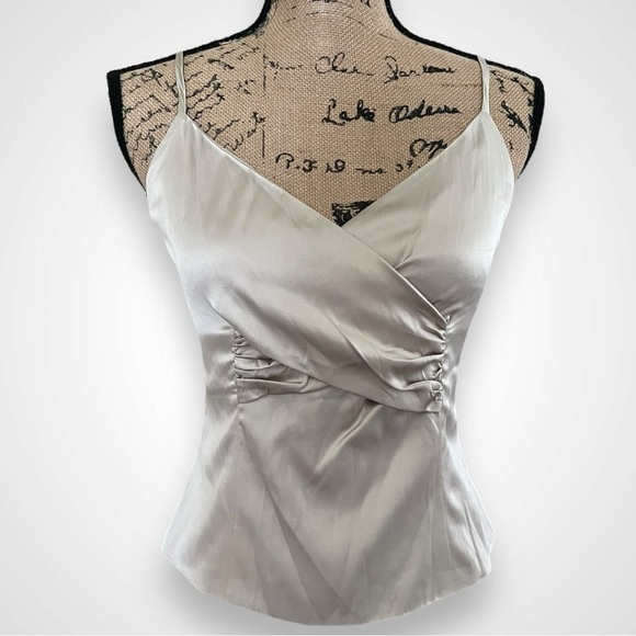 ST JOHN EVENING Champagne/Light Gray Silk Corset Camisole Size 4 |‎ EUC - Picture 1 of 6